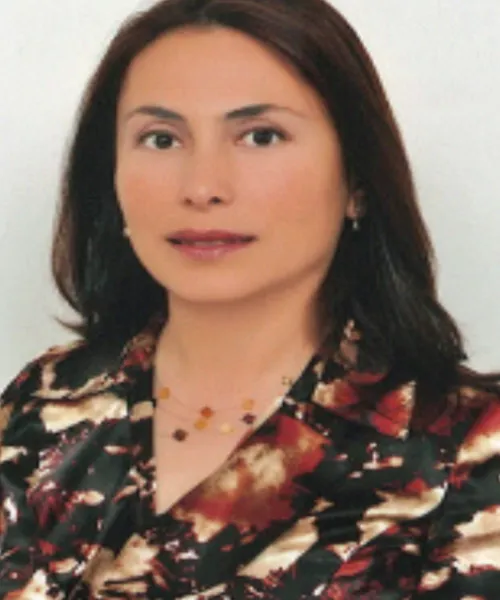 2017 Prof. Dr. Ayşe BOZTOSUN